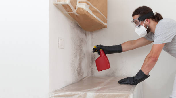 Professional Attic Mold Remediation technician working in Lynbrook, NY