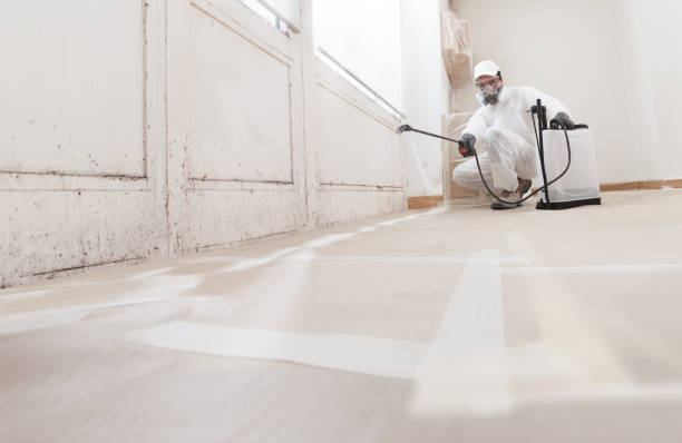 24/7 Emergency Attic Mold Remediation experts in Lynbrook, NY